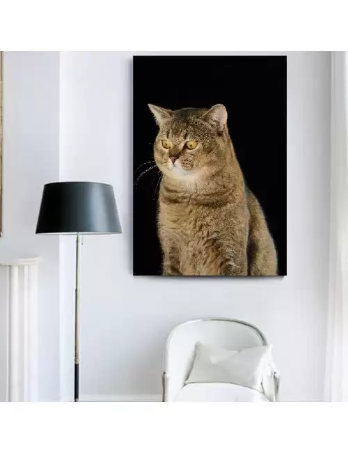 Tablou Wise Cat