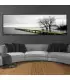 Canvas panoramic
